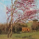 Landscape Blossoming Red Almond, John William Godward