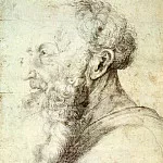 Маттиас Грюневальд - Эскиз к портрету старого мужчины