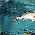 Channel Bass, Winslow Homer