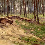 Карл Фридрих Лессинг - Лесной пейзаж с песчаным карьером