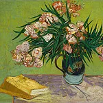 Metropolitan Museum: part 2 - Vincent van Gogh - Oleanders