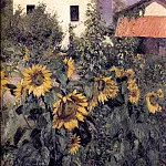 Sunflowers, Garden at Petit Gennevilliers, Gustave Caillebotte