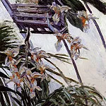 Orchids, Gustave Caillebotte