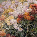 Clump of Chrysanthemums Garden at Petit Gennevilliers, Gustave Caillebotte