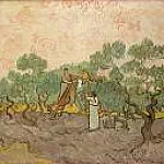 Women Picking Olives, Vincent van Gogh