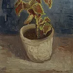 Coleus Plant in a Flowerpot, 1886, Vincent van Gogh