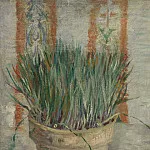 Flowerpot with Chives, Vincent van Gogh