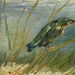 The Kingfisher, Vincent van Gogh