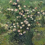 Rosebush in Blossom, Vincent van Gogh