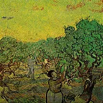 Olive Picking, Vincent van Gogh