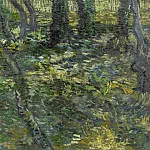 Undergrowth with Ivy, Vincent van Gogh