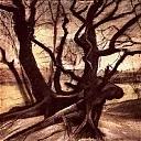 Study of a Tree, Vincent van Gogh