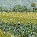 View of Arles with Irises in the Foreground, Vincent van Gogh