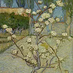 Blossoming Pear Tree, Vincent van Gogh