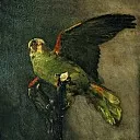 The Green Parrot, Vincent van Gogh