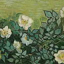 Wild Roses, Vincent van Gogh