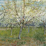 Orchard with Blossoming Apricot Trees, Vincent van Gogh