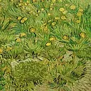 A Field with dandelions, Vincent van Gogh