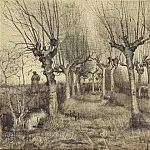Pollard Birches, Vincent van Gogh
