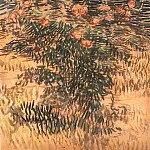 Flowering Shrubs, Vincent van Gogh