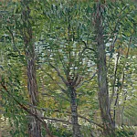 Trees, Vincent van Gogh
