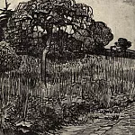 Park at Arles, Vincent van Gogh