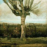 The Willow, Vincent van Gogh