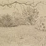 Park at Arles, Vincent van Gogh
