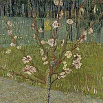 Almond Tree in Blossom, Vincent van Gogh