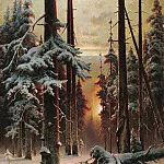 Winter sunset in spruce forest, Yuly Klever