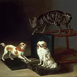 Музей искусств Филадельфии - Поттер, Паулюс (1625 Энкхейзен - 1654 Амстердам) -- Кот, играющий с двумя собаками