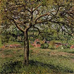 Камиль Писсарро - Яблоня в Эраньи (1884)