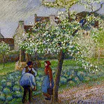 Камиль Писсарро - Цветение слив (1890)