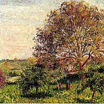 Камиль Писсарро - Орехоплодное дерево весной (1894)