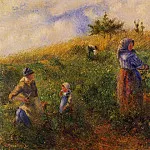 Camille Pissarro - Picking Peas. (1880)