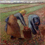 Камиль Писсарро - Сбор урожая картофеля (1885)