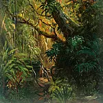 Генрих Бюркель - Тропические растения