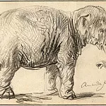 Rembrandt Harmenszoon Van Rijn - An Elephant