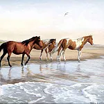 Пэрис Клейтон Плотин - horses_in_the_mist_csg006_chincoteague_ponies