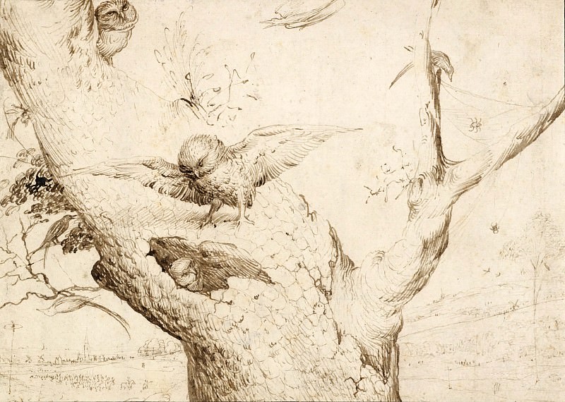 The Owl s Nest. Hieronymus Bosch