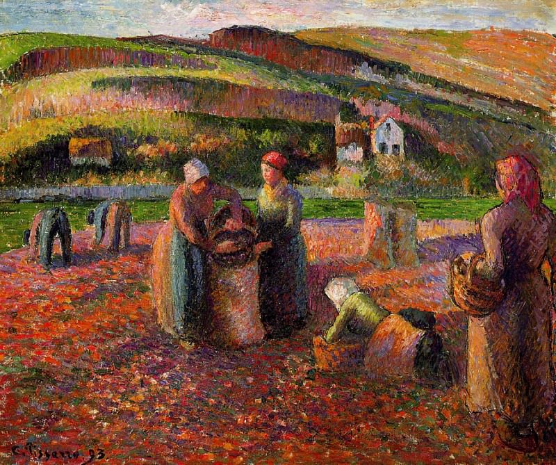 Сбор урожая картофеля (1893). Камиль Писсарро