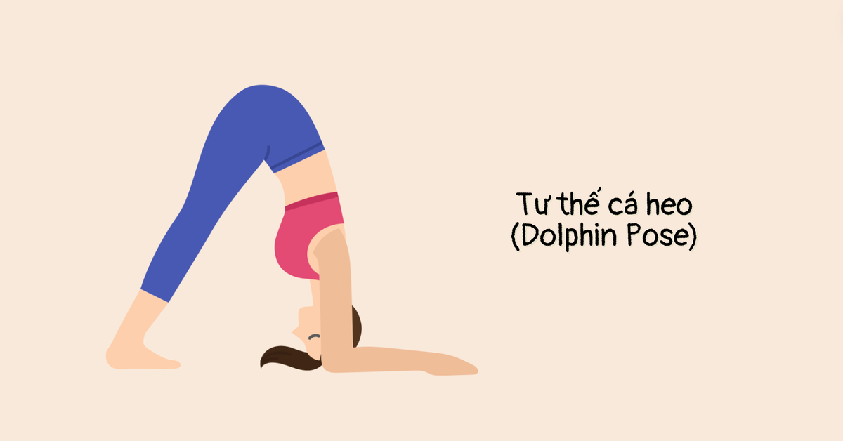 Tư thế cá heo (Dolphin Pose)