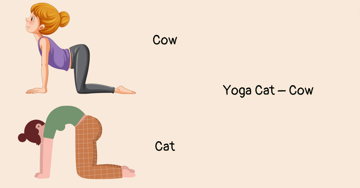 Yoga Cat Cow