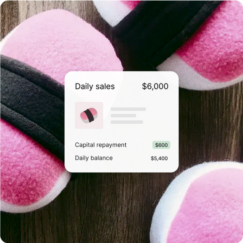 The percentage of repayment for Shopify Capital from a merchant’s daily sales; Pink stuffed musubi dog toys from a merchant’s pet store