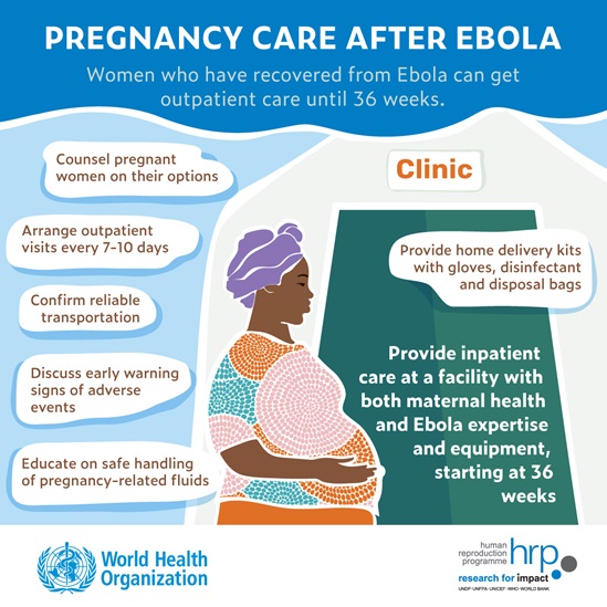 Infographic: Pregnancy care after Ebola