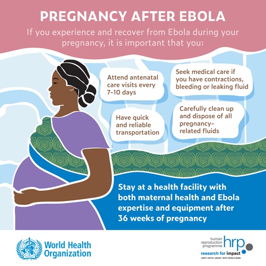 Infographic: pregnancy after Ebola