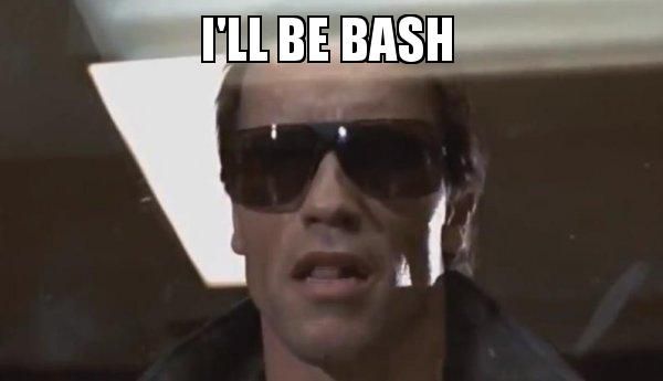 a meme of the terminator with “I’ll be bash” as the caption