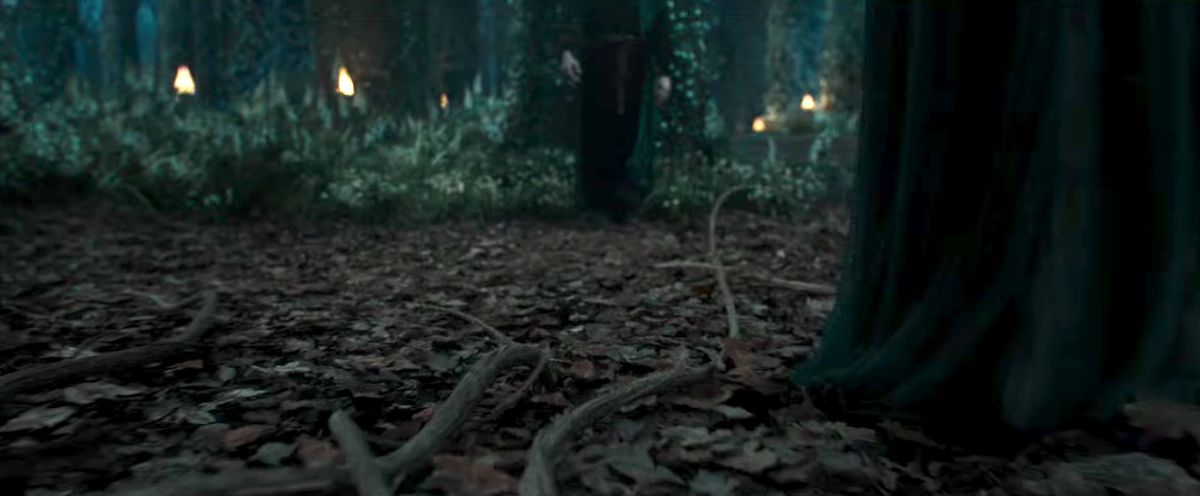 Tentacle-like roots swarm quickly over a forest floor towards a black-robed figure in The Lord of the Rings: The Rings of Power. 