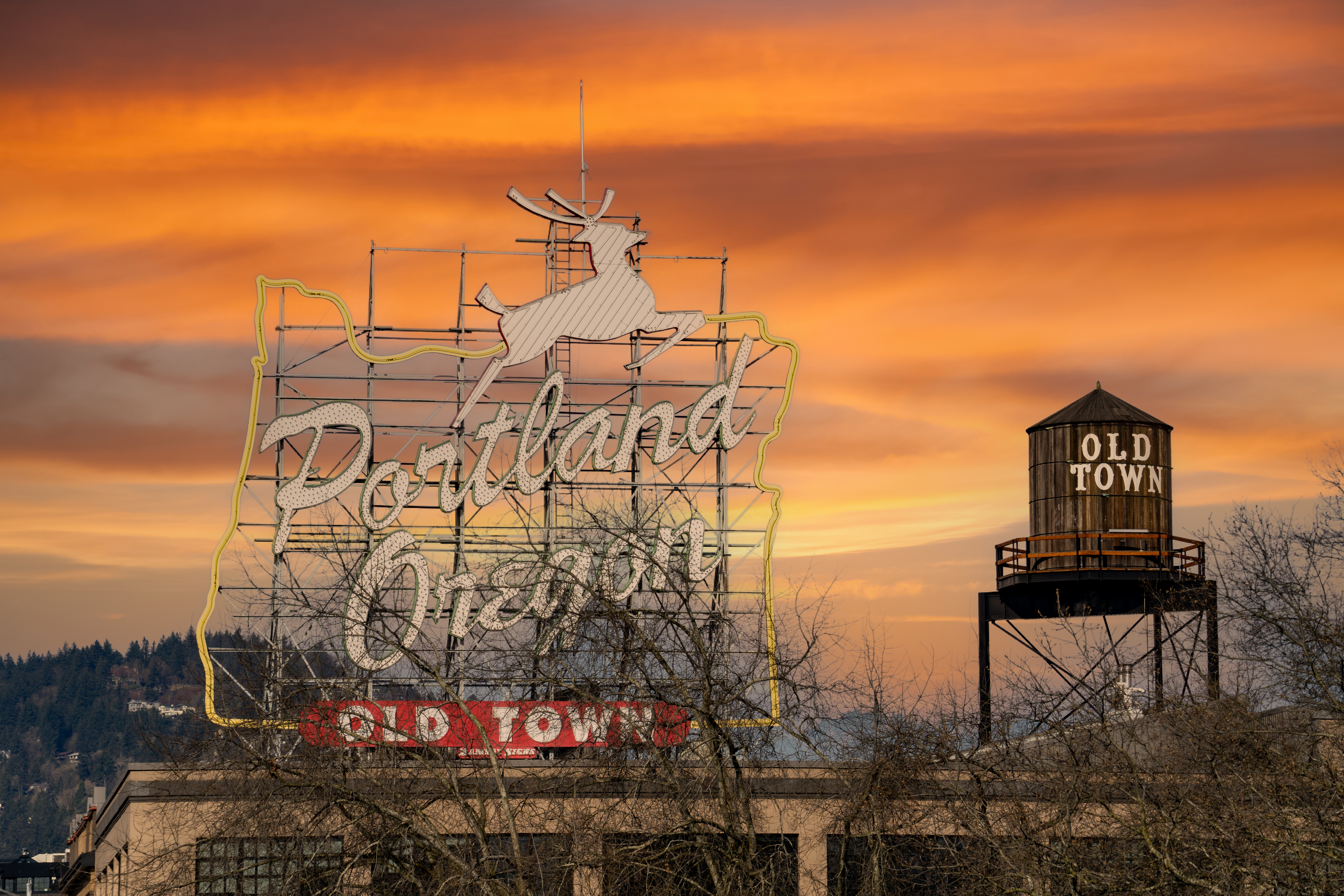 The famous white stag sign in Portland, Oregon.