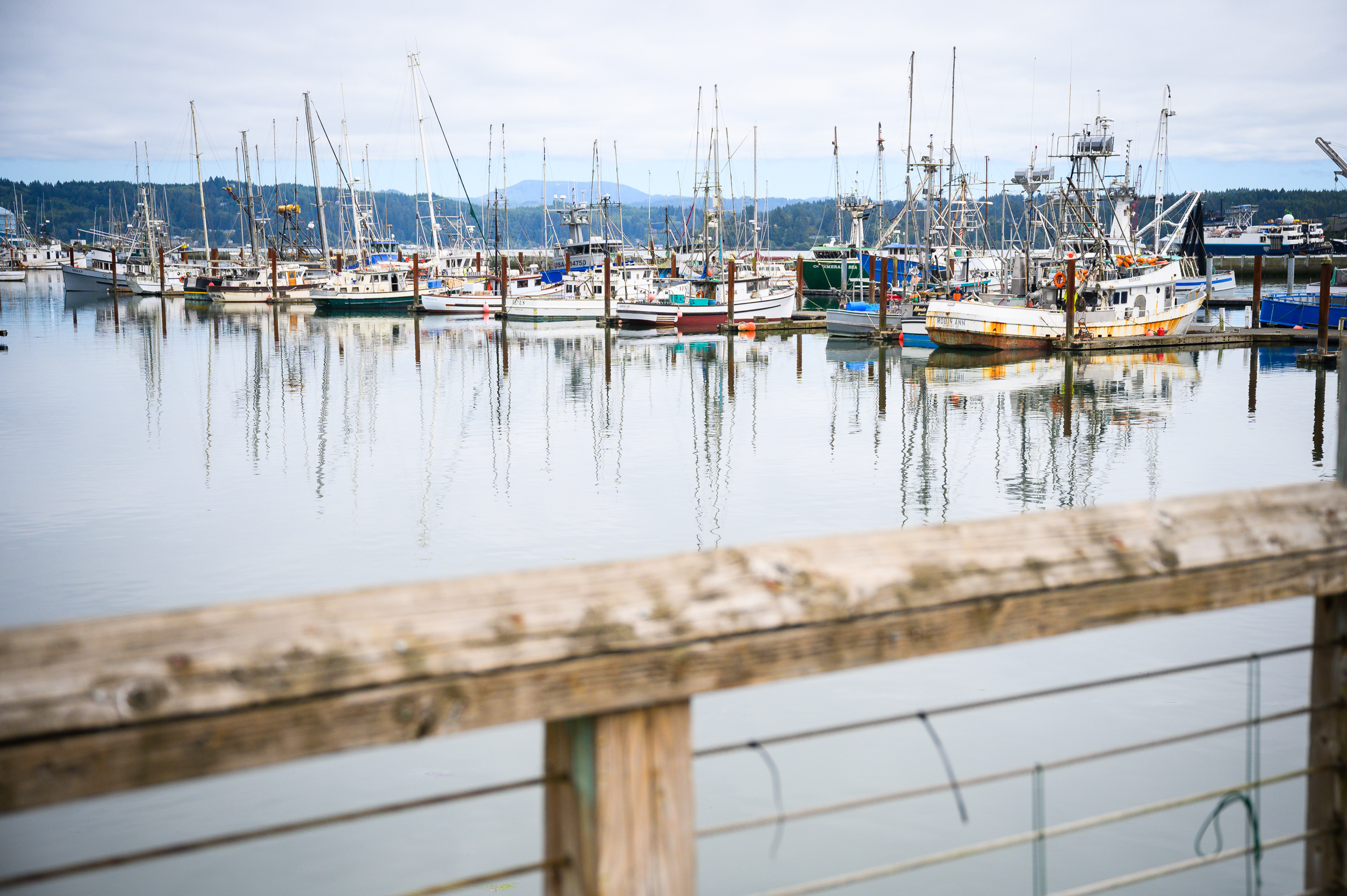 Boats lined up at a dock in Newport, Oregon.